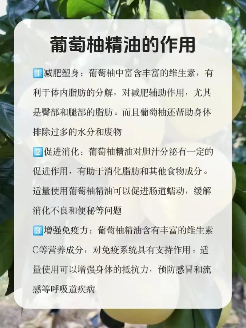 减肥精油的原理是什么意思