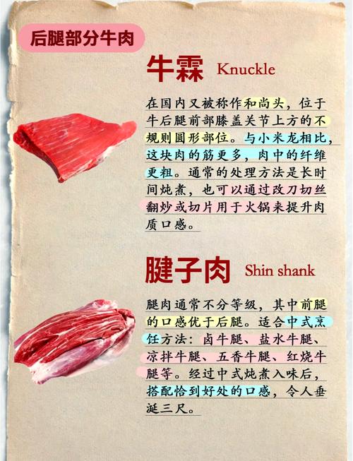 减肥吃什么牛什么部位