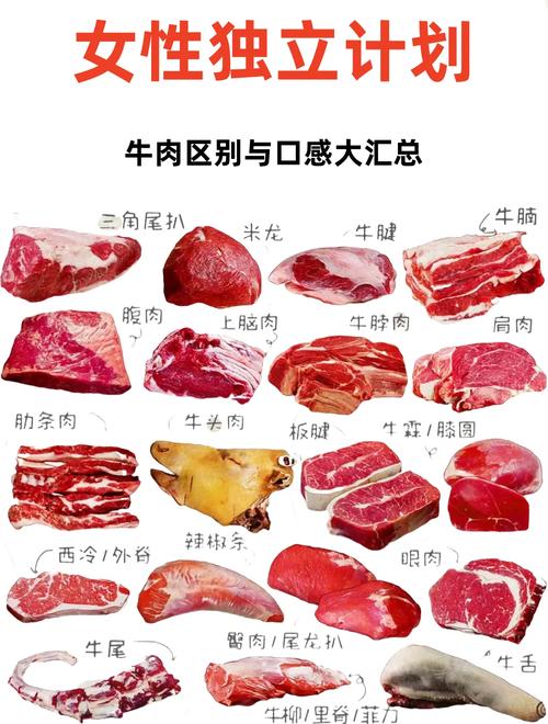 减肥吃什么牛什么部位