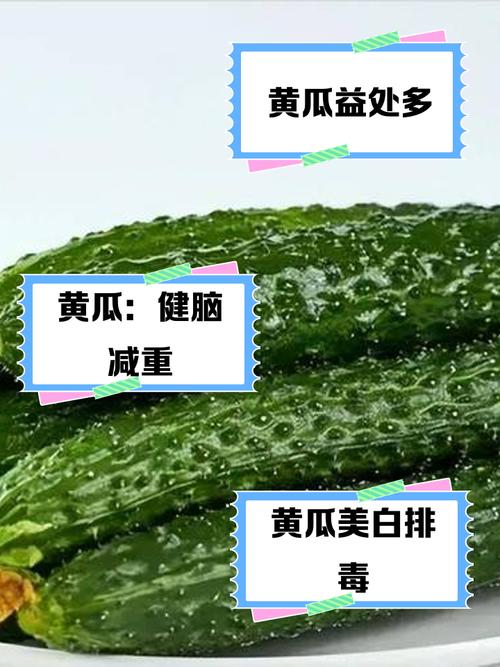黄瓜对减肥有什么好处