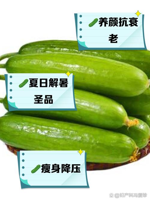 黄瓜对减肥有什么好处