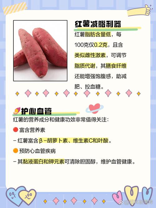 红薯什么时候能减肥吗