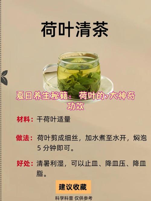 荷叶泡什么最减肥方法