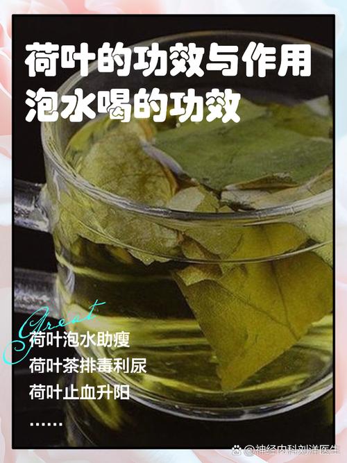荷叶泡什么最减肥方法