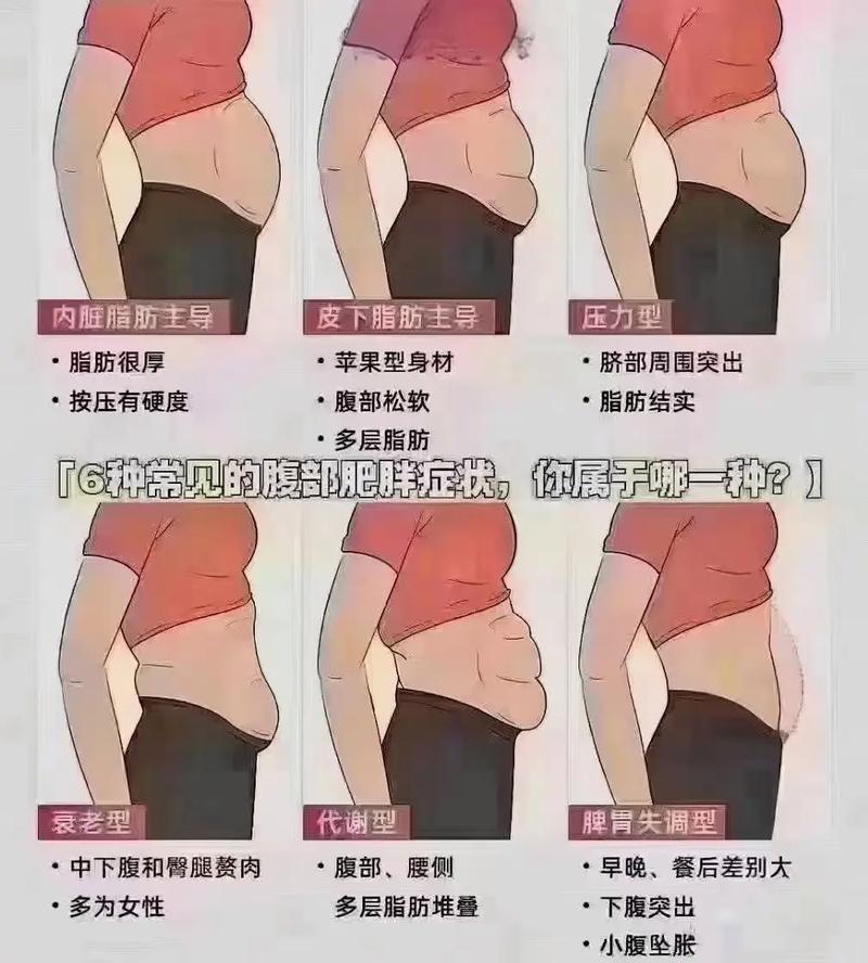 女人为什么胖肚子