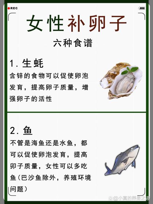 吃什么对排卵好