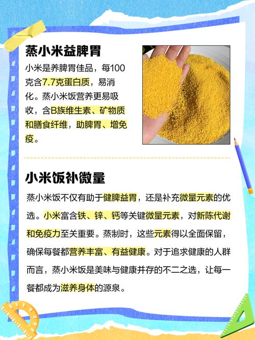 什么米饭启到减肥作用