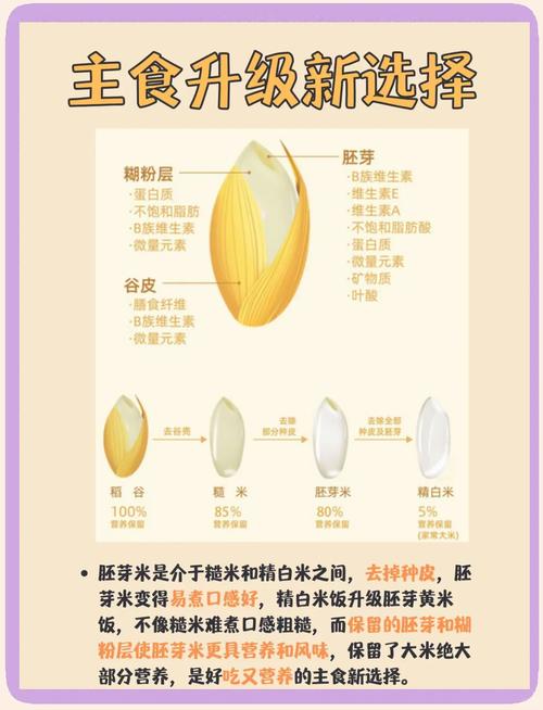 什么米饭启到减肥作用
