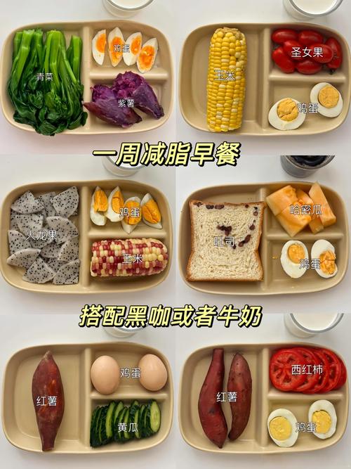 什么米饭减肥瘦身