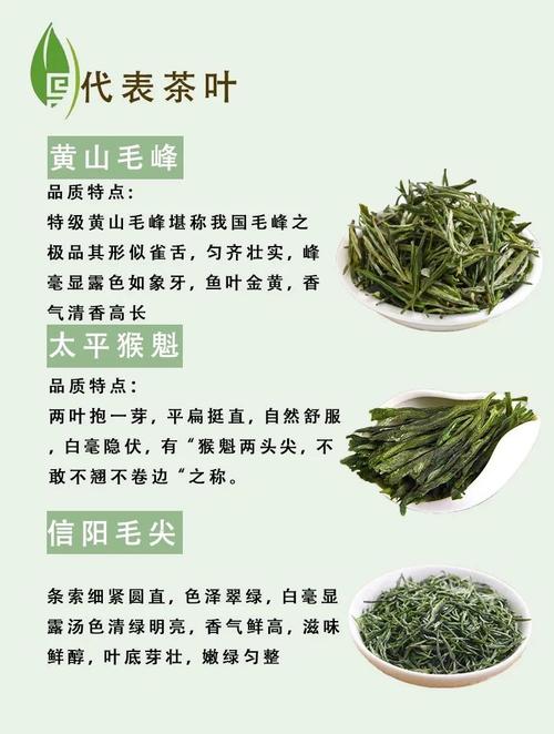 什么绿茶减肥最好