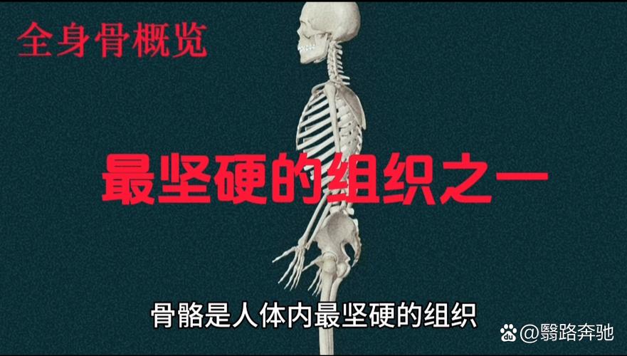 骨头大是什么原因