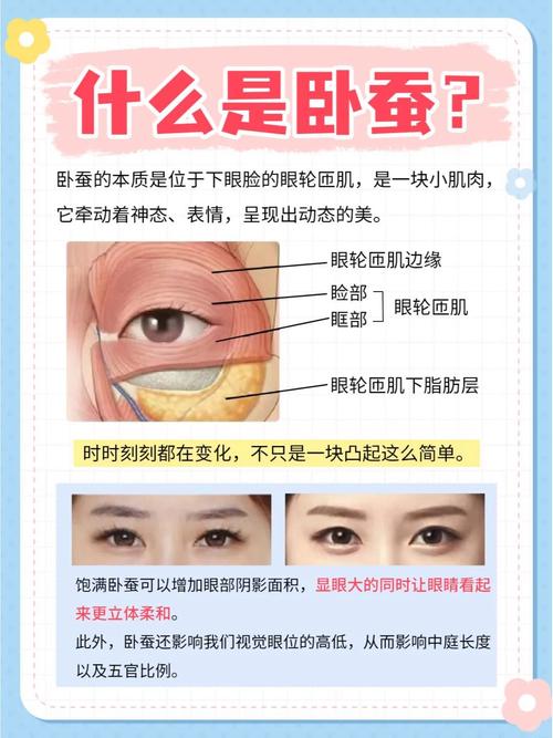 卧蚕有什么好处