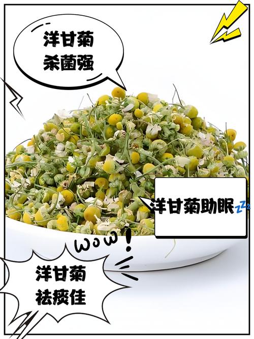 洋甘菊有什么作用