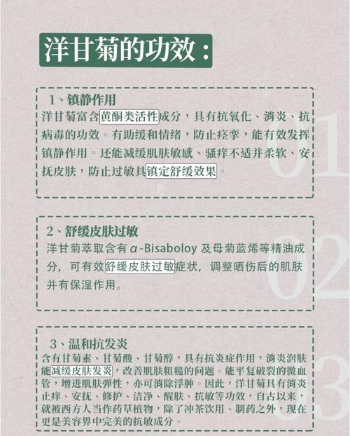 洋甘菊有什么作用