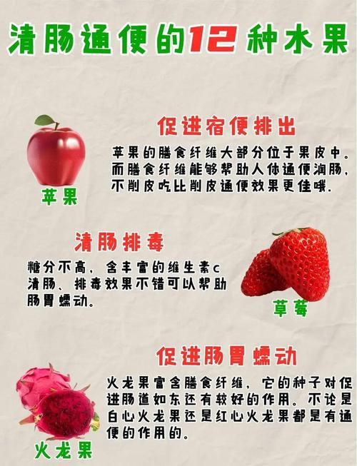 便秘吃什么可以通便