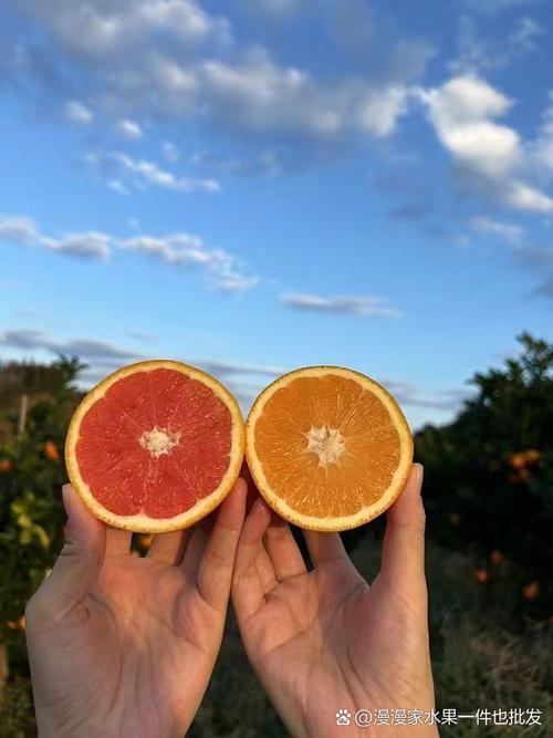 橘子什么时候吃减肥