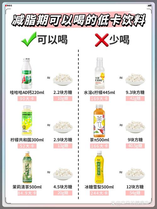 减肥期间喝什么最好