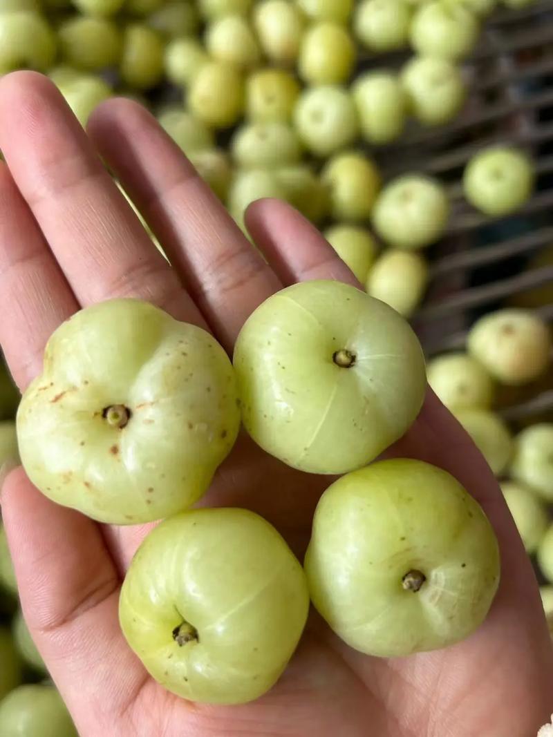 什么水果是排毒的