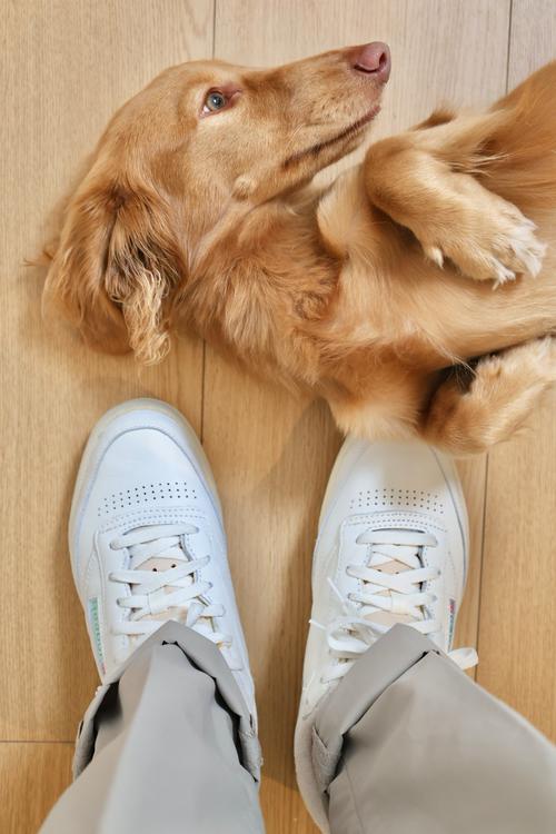 男性黄色衣服怎么搭配衣服