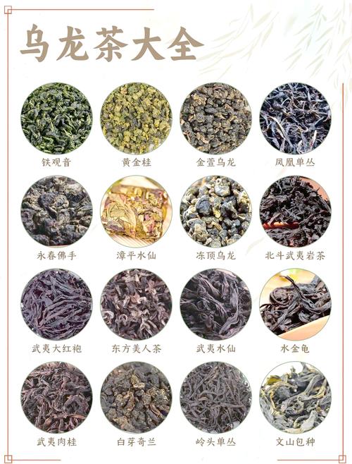 什么乌龙茶减肥最好