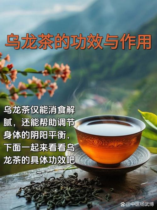 什么乌龙茶减肥最好