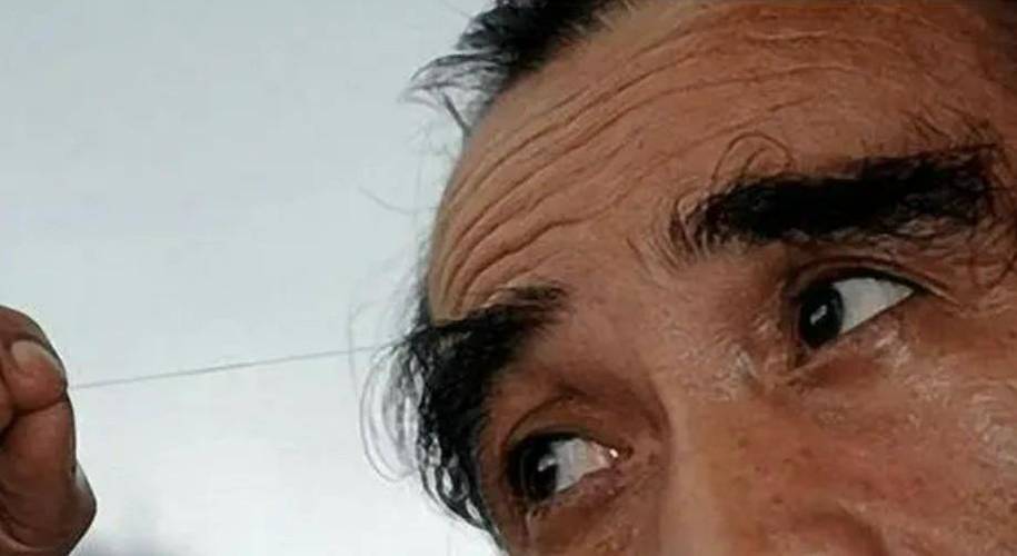 眉毛为什么长不长