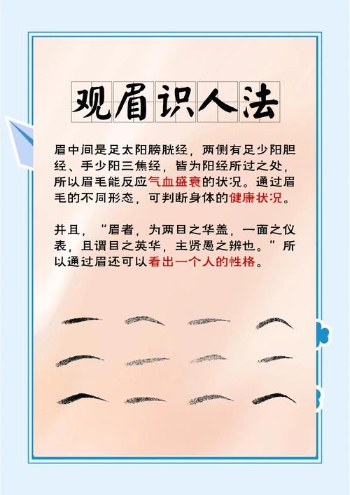 眉毛为什么长不长