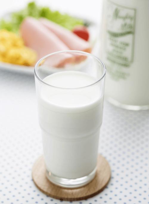 减肥吃什么牛奶最好