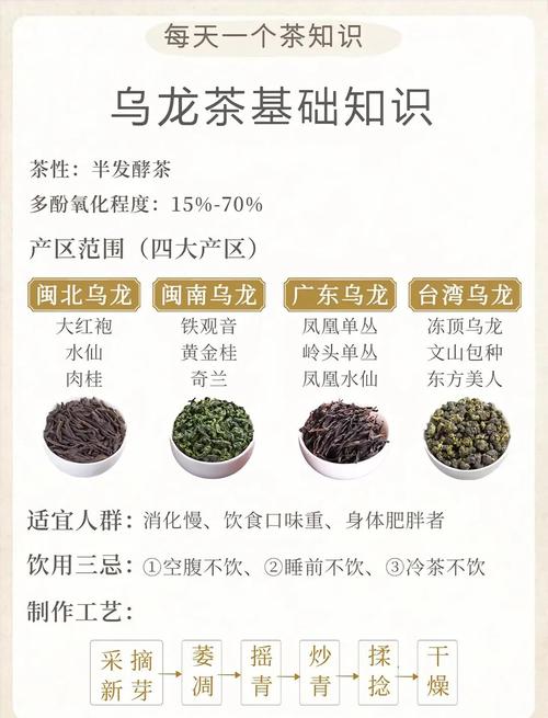 乌龙茶什么时候喝减肥效果好