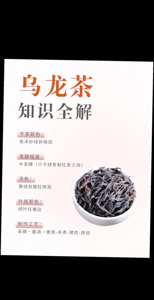 乌龙茶什么时候喝减肥效果好