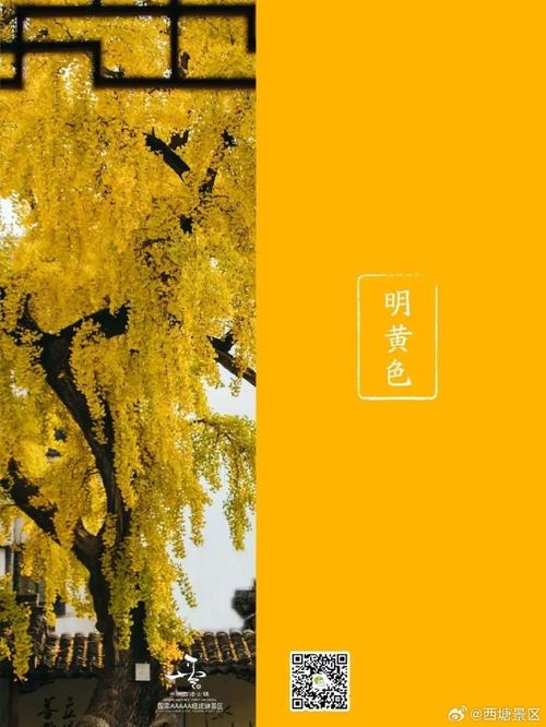 明黄是什么颜色