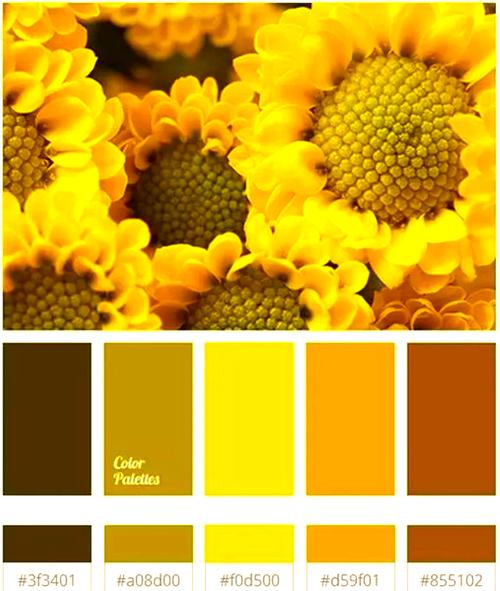 明黄是什么颜色