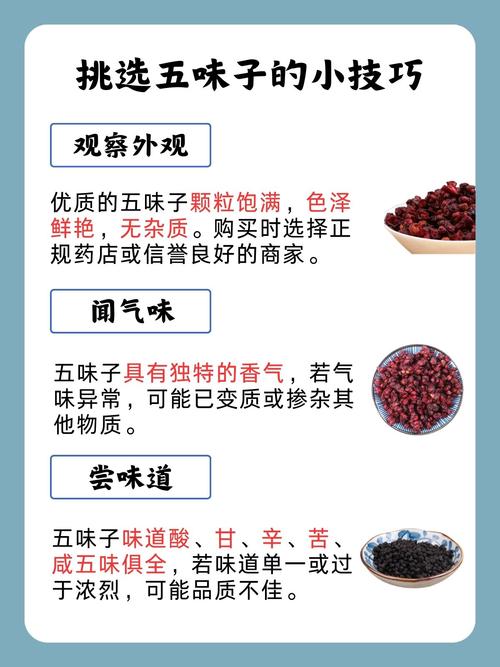 五味子是什么样的