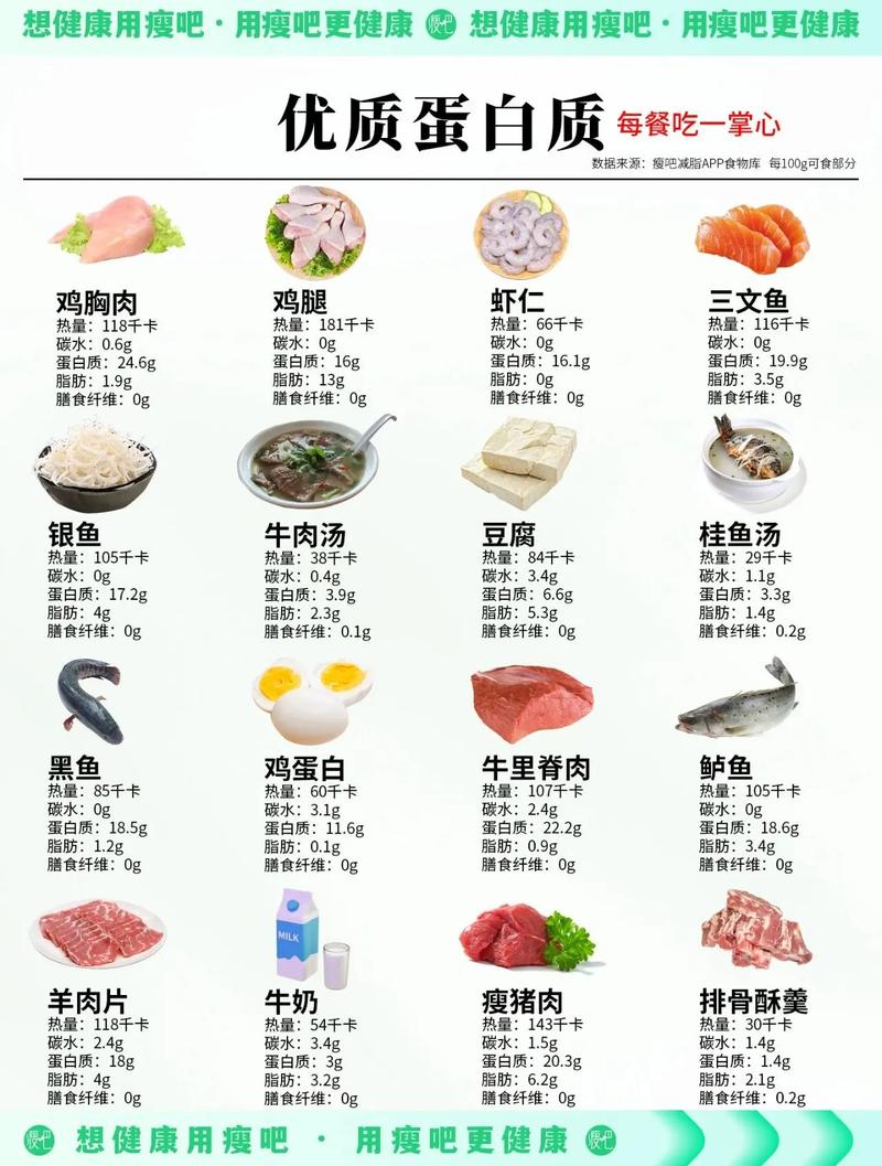 减肥期间应该吃什么食物