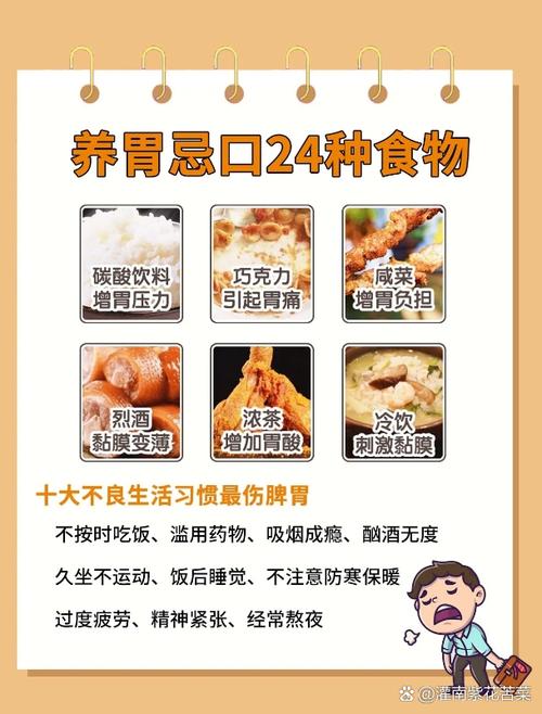 胃不好的吃什么养胃