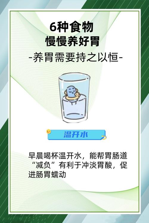 胃不好的吃什么养胃