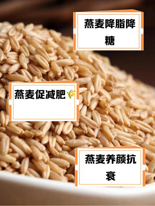 燕麦片为什么可以减肥