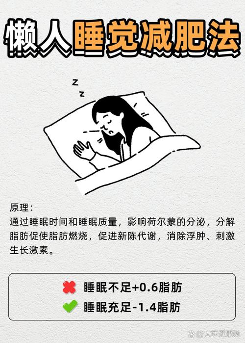 什么时候睡觉才能减肥