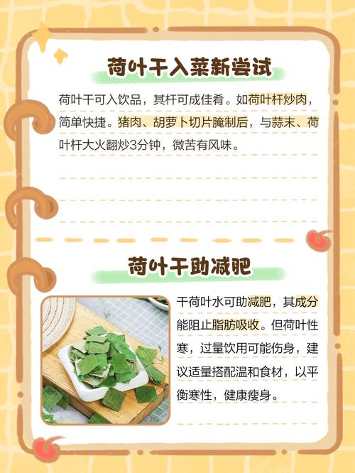 干荷叶减肥可以和什么搭配