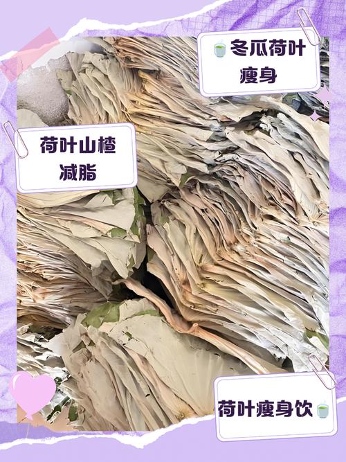 干荷叶减肥可以和什么搭配