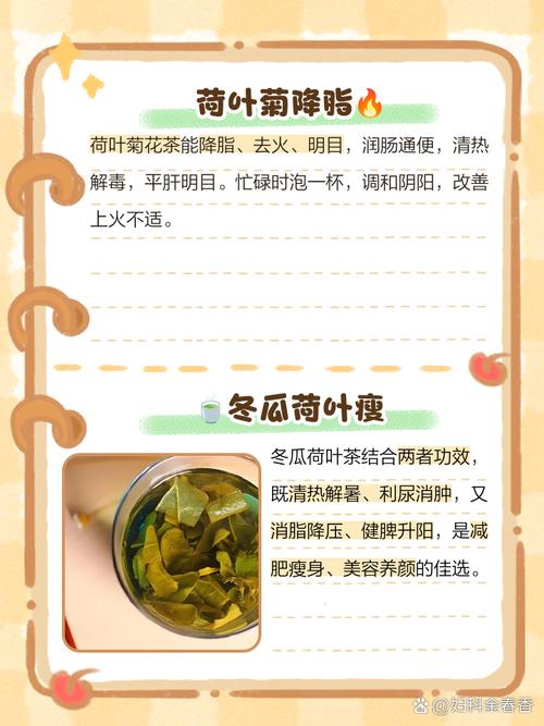 干荷叶减肥可以和什么搭配