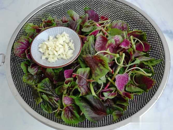 什么菜减肥排毒养颜