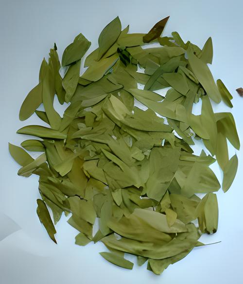 减肥叶是什么叶