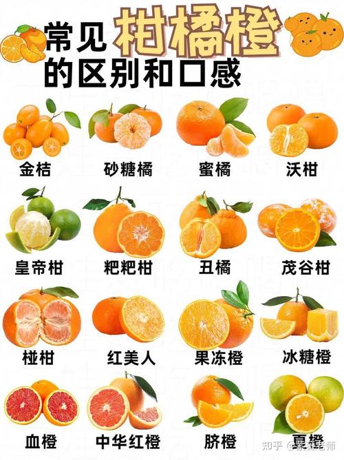 秋冬有什么水果