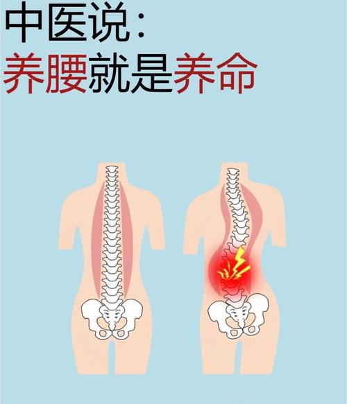 腰有什么作用