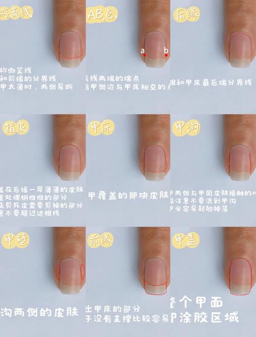 手指甲有什么用