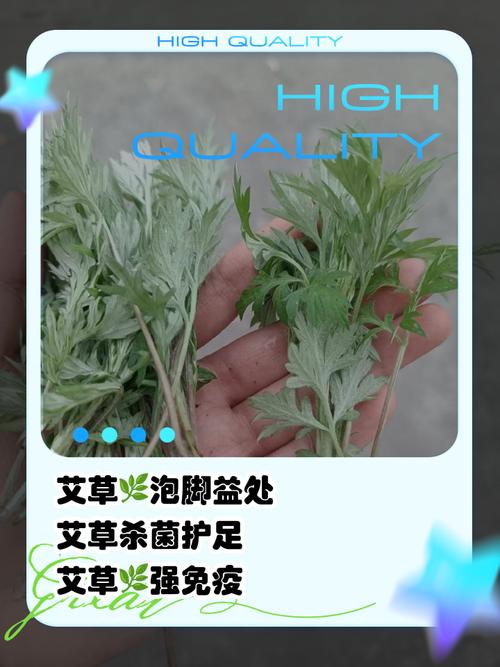 艾草泡脚有什么用