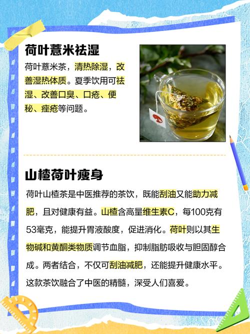 什么泡水喝减肥