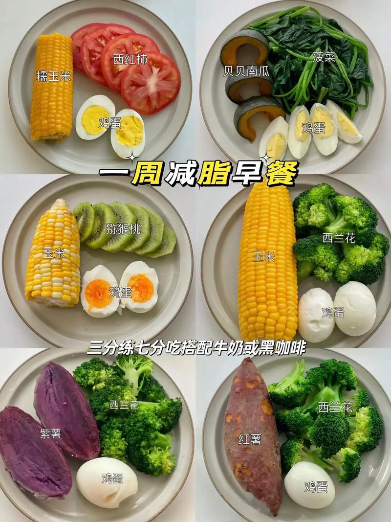 早中晚吃什么能减肥