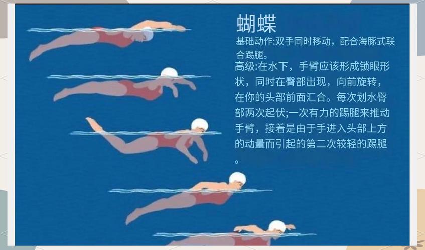 什么泳姿最减肥